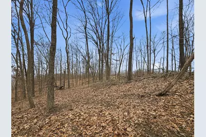 0 Rockville Road, Blue Rock, OH 43720 - Photo 23