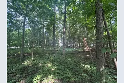5387 Dildine Road, Delaware, OH 43015 - Photo 1