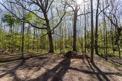 5387 Dildine Road, Delaware, OH 43015 - Photo 11
