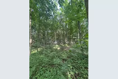 5387 Dildine Road, Delaware, OH 43015 - Photo 3