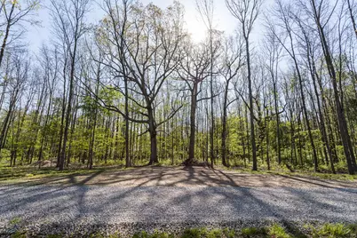 5387 Dildine Road, Delaware, OH 43015 - Photo 9