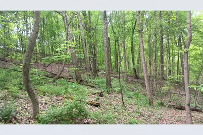 0 Sand Ridge Road #(Albany Hideaway Tract 1), Albany, OH 45710 - Photo 19