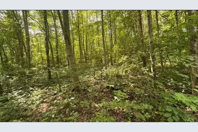 14500 Wolfe Road, Amesville, OH 45711 - Photo 3