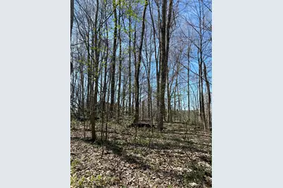0 County Road 14, Mount Gilead, OH 43338 - Photo 15