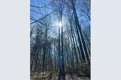 0 County Road 14, Mount Gilead, OH 43338 - Photo 11