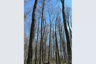 0 County Road 14, Mount Gilead, OH 43338 - Photo 17