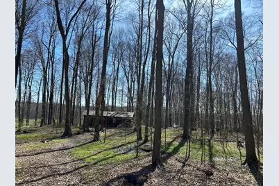 0 County Road 14, Mount Gilead, OH 43338 - Photo 19