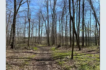 0 County Road 14, Mount Gilead, OH 43338 - Photo 21
