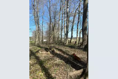 0 County Road 14, Mount Gilead, OH 43338 - Photo 27