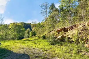 73600 US-50, McArthur, OH 45651 - Photo 37