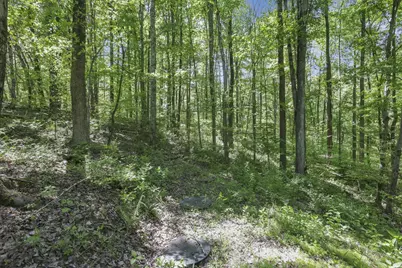 24216 Brown Road, South Bloomingville, OH 43152 - Photo 47