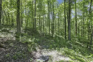 24216 Brown Rd, South Bloomingville, OH 43152 - Photo 47