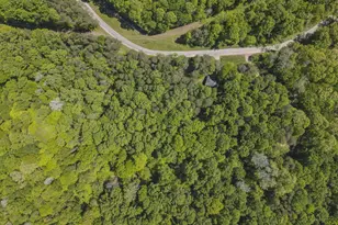 24216 Brown Rd, South Bloomingville, OH 43152 - Photo 59