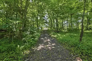8088 Co Rd 30, Galion, OH 44833 - Photo 39