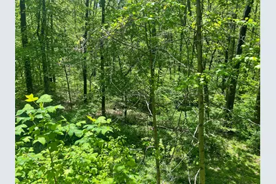 12593 Trillium Way, Rockbridge, OH 43149 - Photo 11
