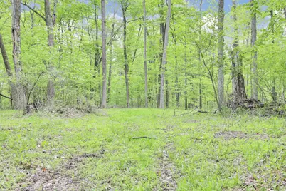 7247 Liberty Church Road, Johnstown, OH 43031 - Photo 73