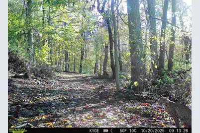 0 Little Kyger Road #(Little Kyger Tract 2), Cheshire, OH 45620 - Photo 7