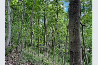 0 Little Kyger Road #(Little Kyger Tract 2), Cheshire, OH 45620 - Photo 9