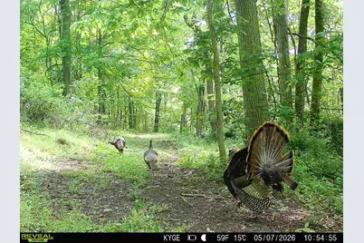 0 Little Kyger Road #(Little Kyger Tract 2), Cheshire, OH 45620 - Photo 15