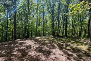 24442 Bushby Rd, South Bloomingville, OH 43152 - Photo 45
