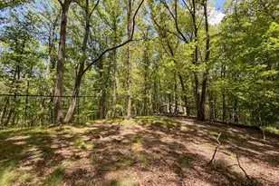 24442 Bushby Rd, South Bloomingville, OH 43152 - Photo 53