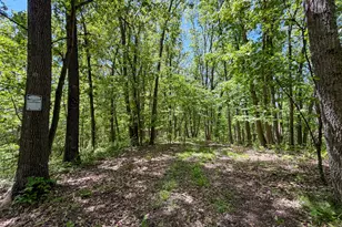 24442 Bushby Rd, South Bloomingville, OH 43152 - Photo 37