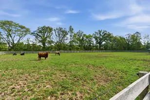 9850 Harriott Rd, Marysville, OH 43040 - Photo 89