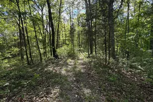 2300 Fairview Rd, Seaman, OH 45679 - Photo 55