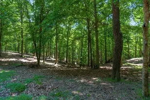 58501 US Hwy 50, McArthur, OH 45651 - Photo 47