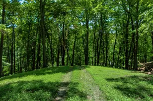 58501 US Hwy 50, McArthur, OH 45651 - Photo 63