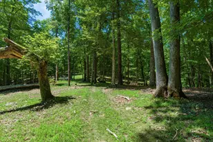 58501 US Hwy 50, McArthur, OH 45651 - Photo 55
