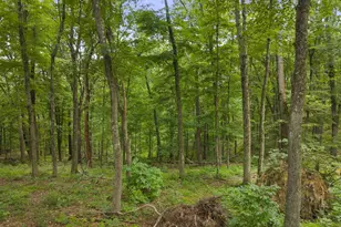 18573 Huggins Rd, Logan, OH 43138 - Photo 41