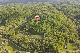 14745 Dutch Creek Rd, Athens, OH 45701 - Photo 61