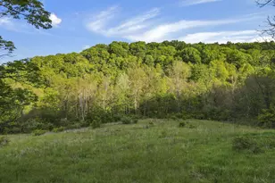 14745 Dutch Creek Rd, Athens, OH 45701 - Photo 3