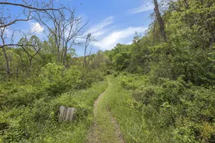 14745 Dutch Creek Rd, Athens, OH 45701 - Photo 47