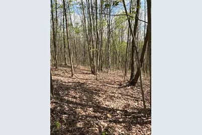 0 Pyle Road, Lucasville, OH 45648 - Photo 25