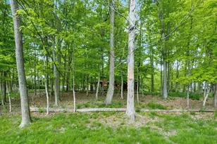 262 Beech Trail Ct, Powell, OH 43065 - Photo 45