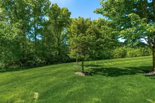 239 Tinley Park Cir, Delaware, OH 43015 - Photo 39