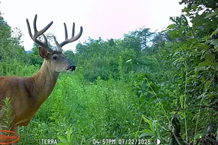 9871 Co Rd 5, Pedro, OH 45659 - Photo 51