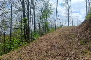 9871 Co Rd 5, Pedro, OH 45659 - Photo 49