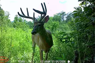 9871 Co Rd 5, Pedro, OH 45659 - Photo 55