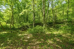 50583 Roy Miles Rd, Sarahsville, OH 43779 - Photo 21