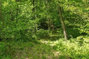 50583 Roy Miles Rd, Sarahsville, OH 43779 - Photo 23