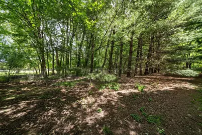 144 Northigh Drive, Worthington, OH 43085 - Photo 43