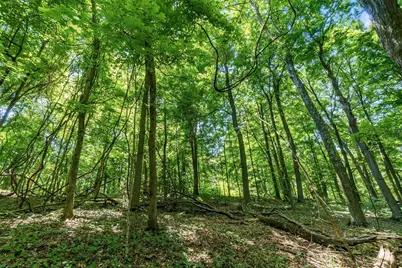 13807 Marshall Road, Rockbridge, OH 43149 - Photo 25