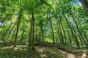 13807 Marshall Rd, Rockbridge, OH 43149 - Photo 25