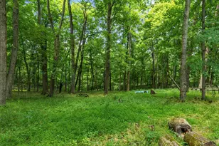13807 Marshall Rd, Rockbridge, OH 43149 - Photo 17