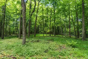 13807 Marshall Rd, Rockbridge, OH 43149 - Photo 19