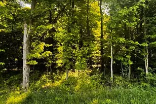 0 Feasel Rd, Mount Vernon, OH 43050 - Photo 1