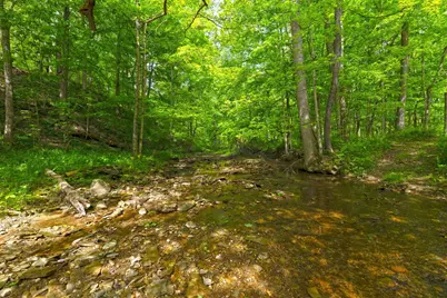 9777 Old Delaware Road, Mount Vernon, OH 43050 - Photo 39